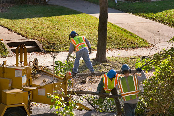 Best Lawn Irrigation Installation and Maintenance  in Temple, PA